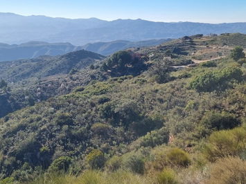 Land in Bédar