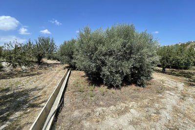 Land in Huércal-Overa