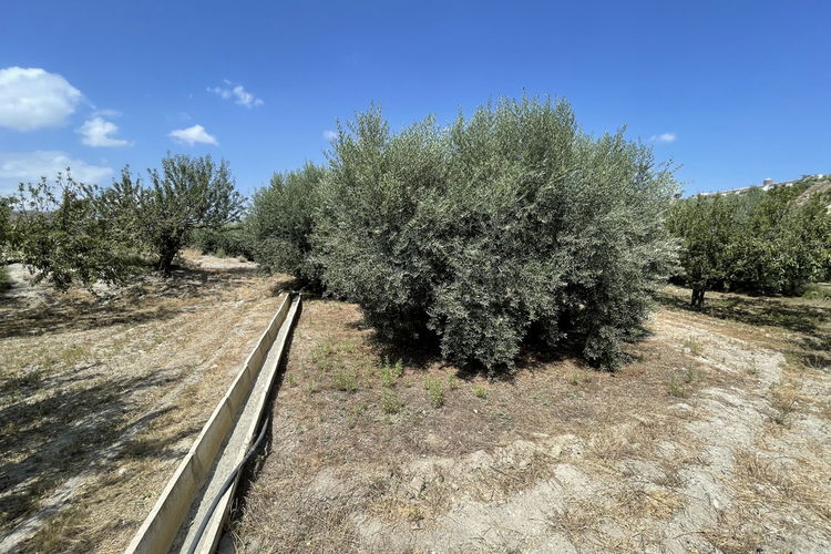 Land in Huércal-Overa