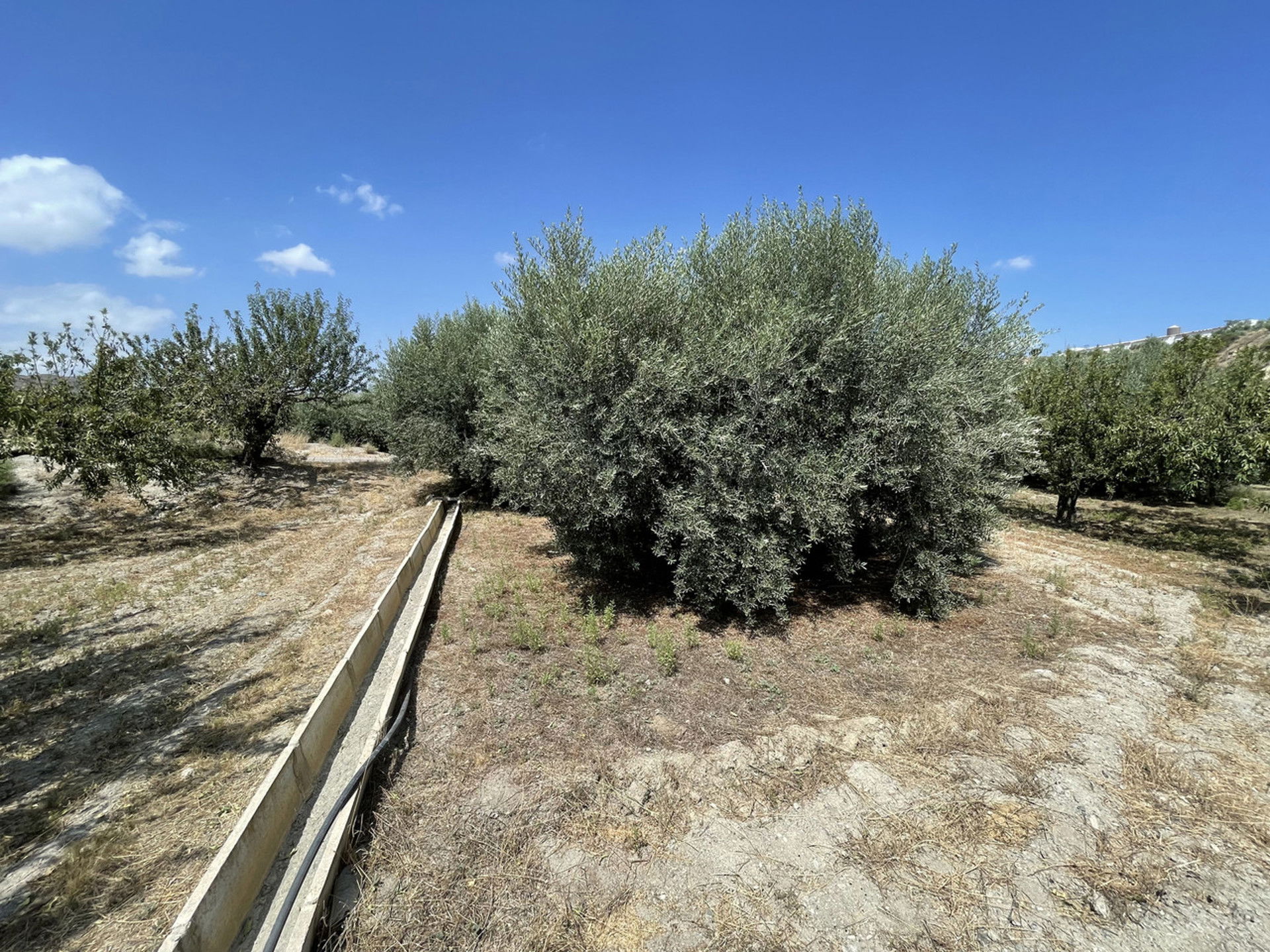 Land in Huércal-Overa