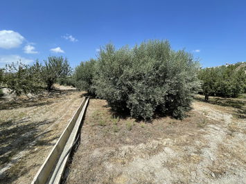 Land in Huércal-Overa