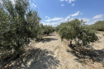 Land in Huércal-Overa