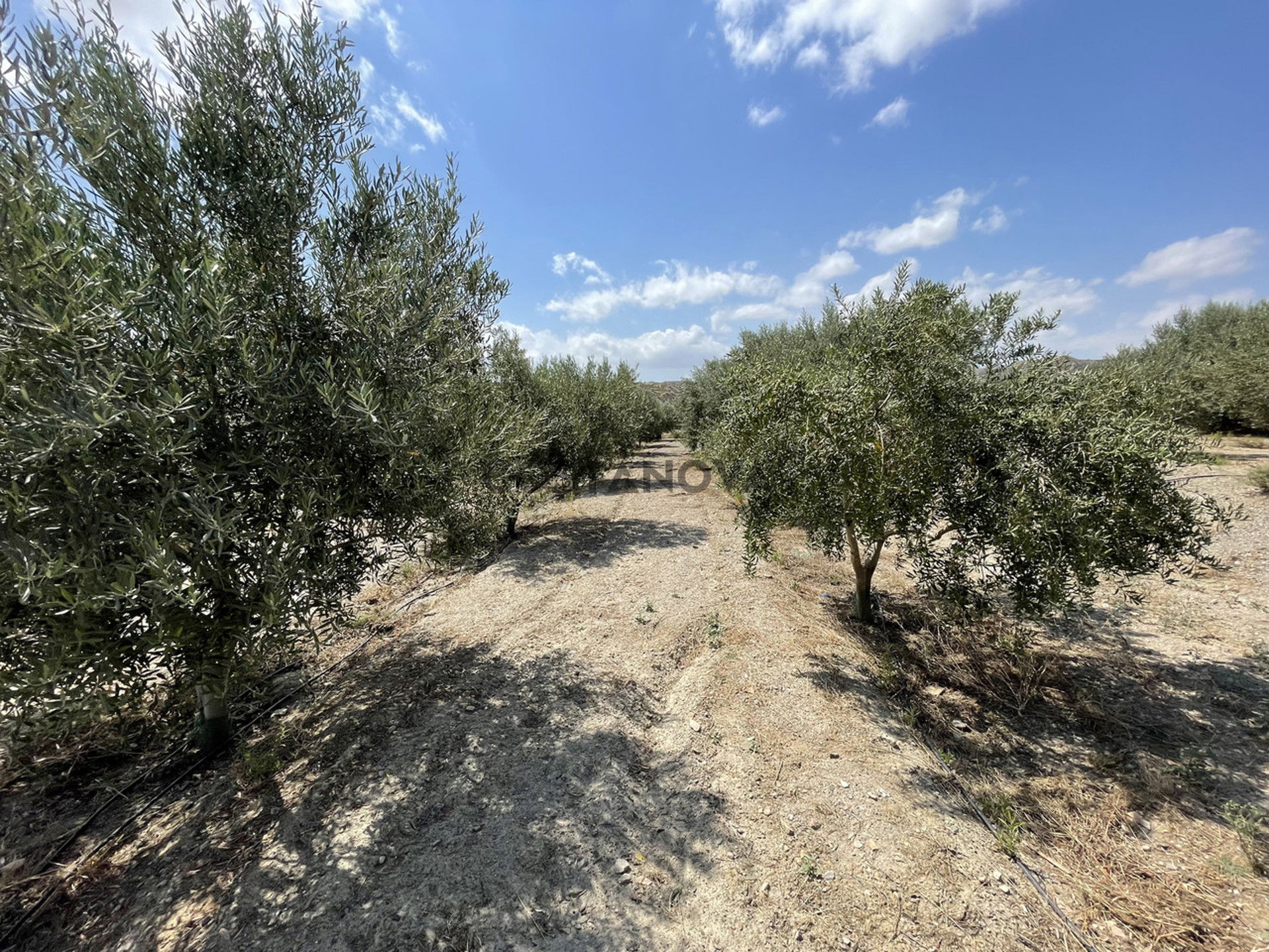 Land in Huércal-Overa