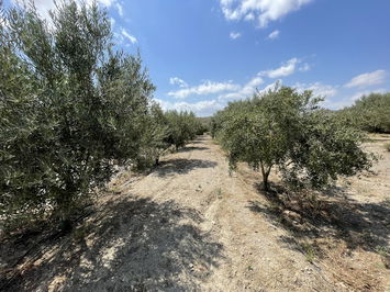 Land in Huércal-Overa