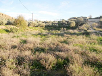 Land in Albox