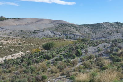 Land in Lorca