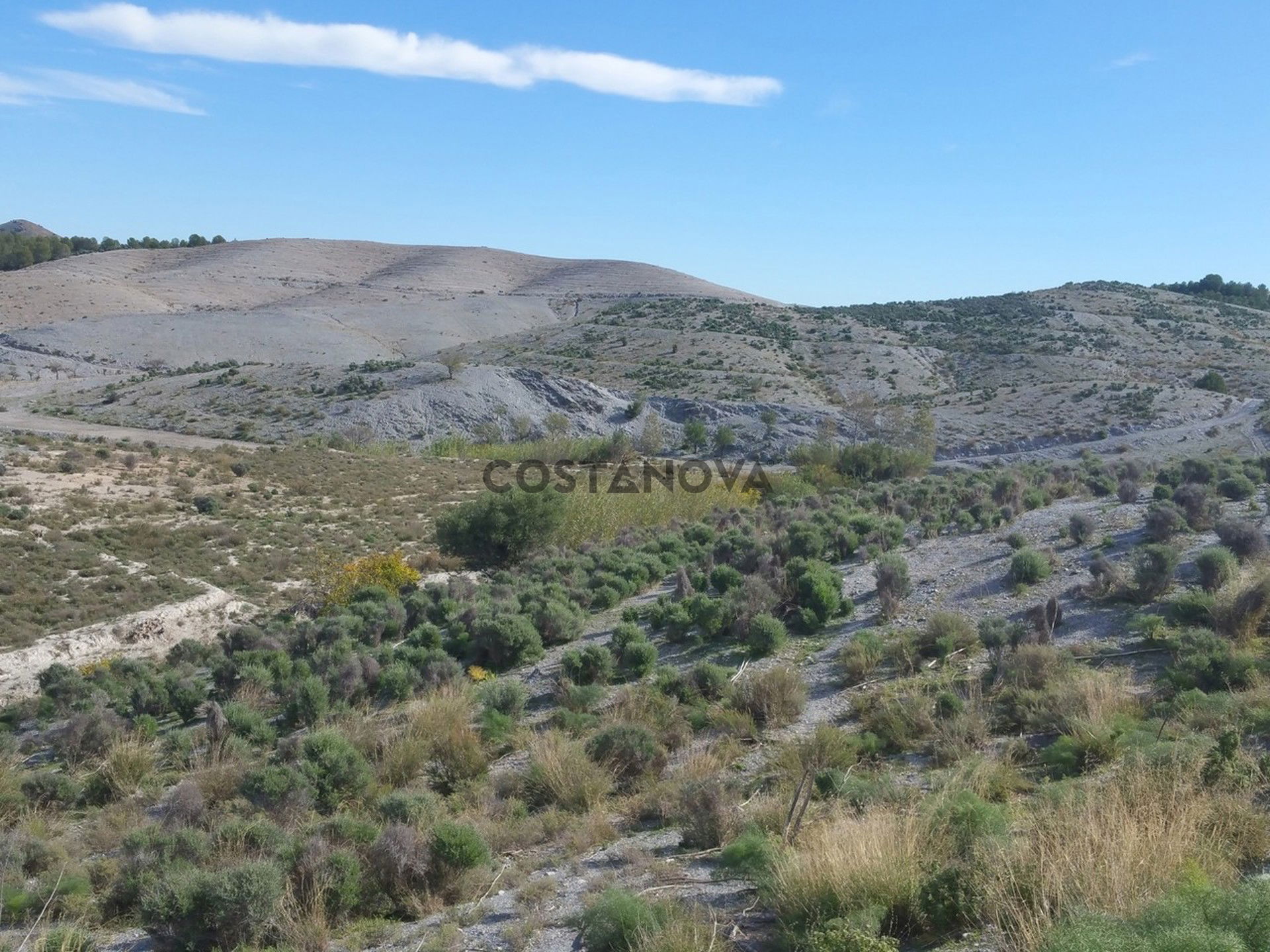 Land in Lorca