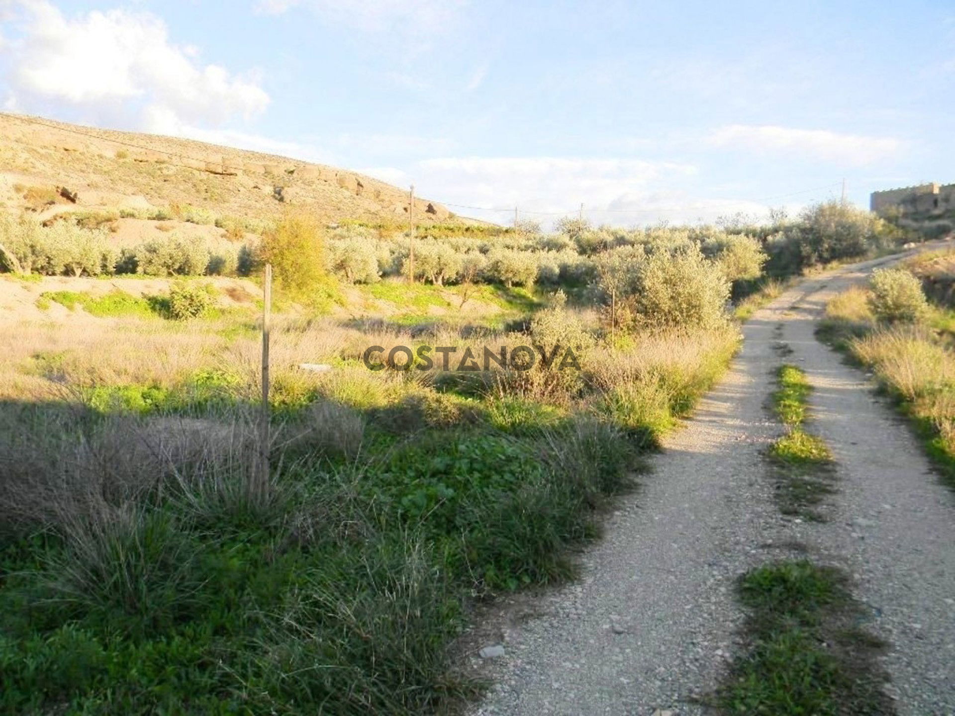 Land in Albox