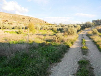 Land in Albox
