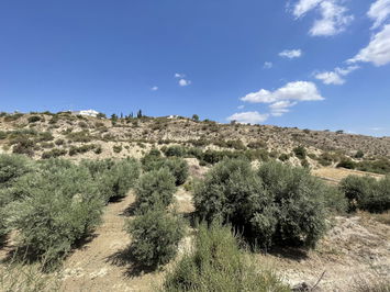 Land in Huércal-Overa