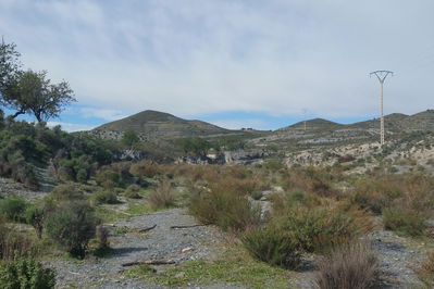 Land in Lorca