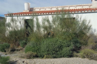 Land in Lorca