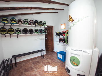 Commercial property in Lorca