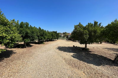 Villa in Vera