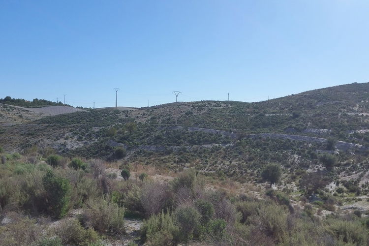 Land in Lorca