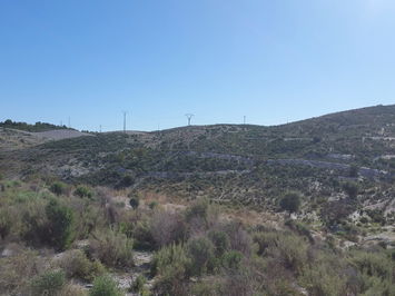 Land in Lorca