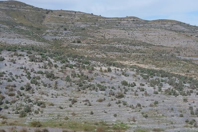 Land in Lorca