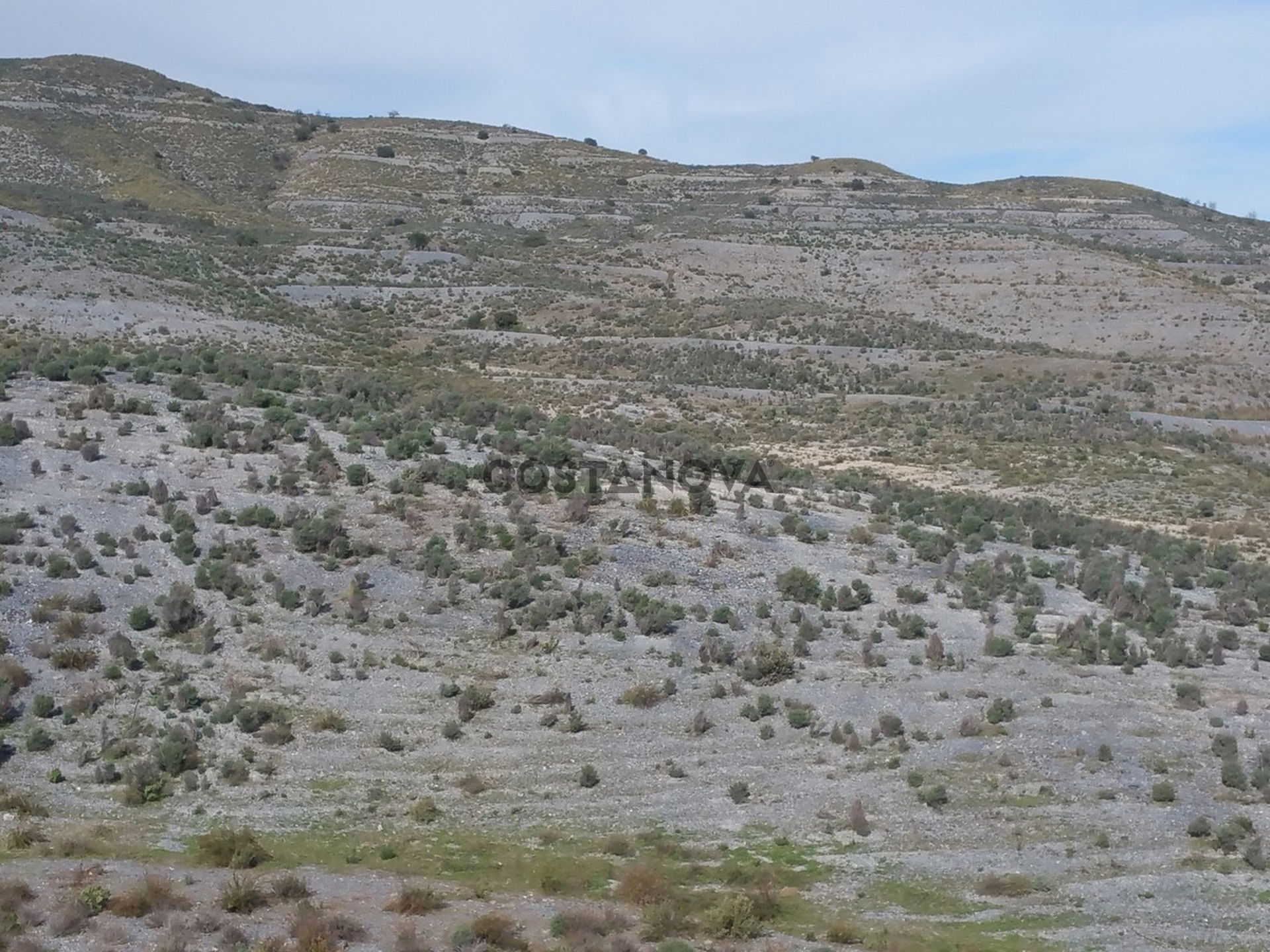Land in Lorca