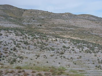 Land in Lorca