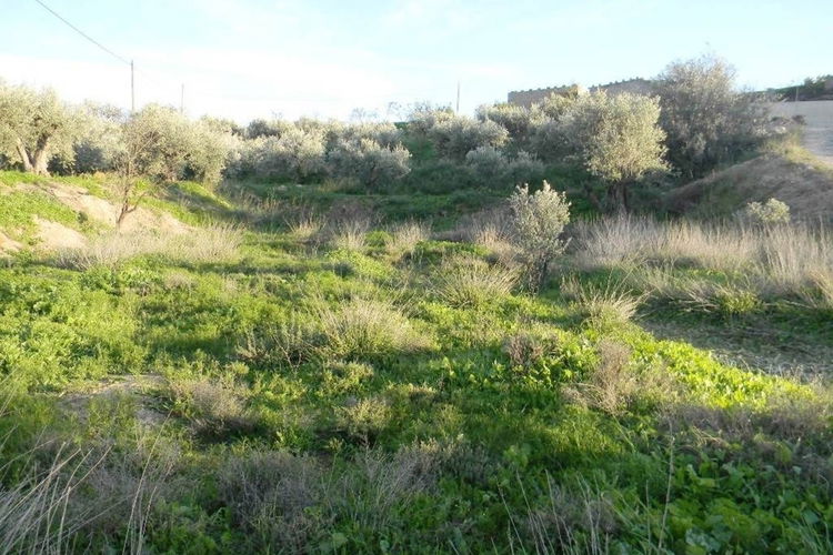 Land in Albox