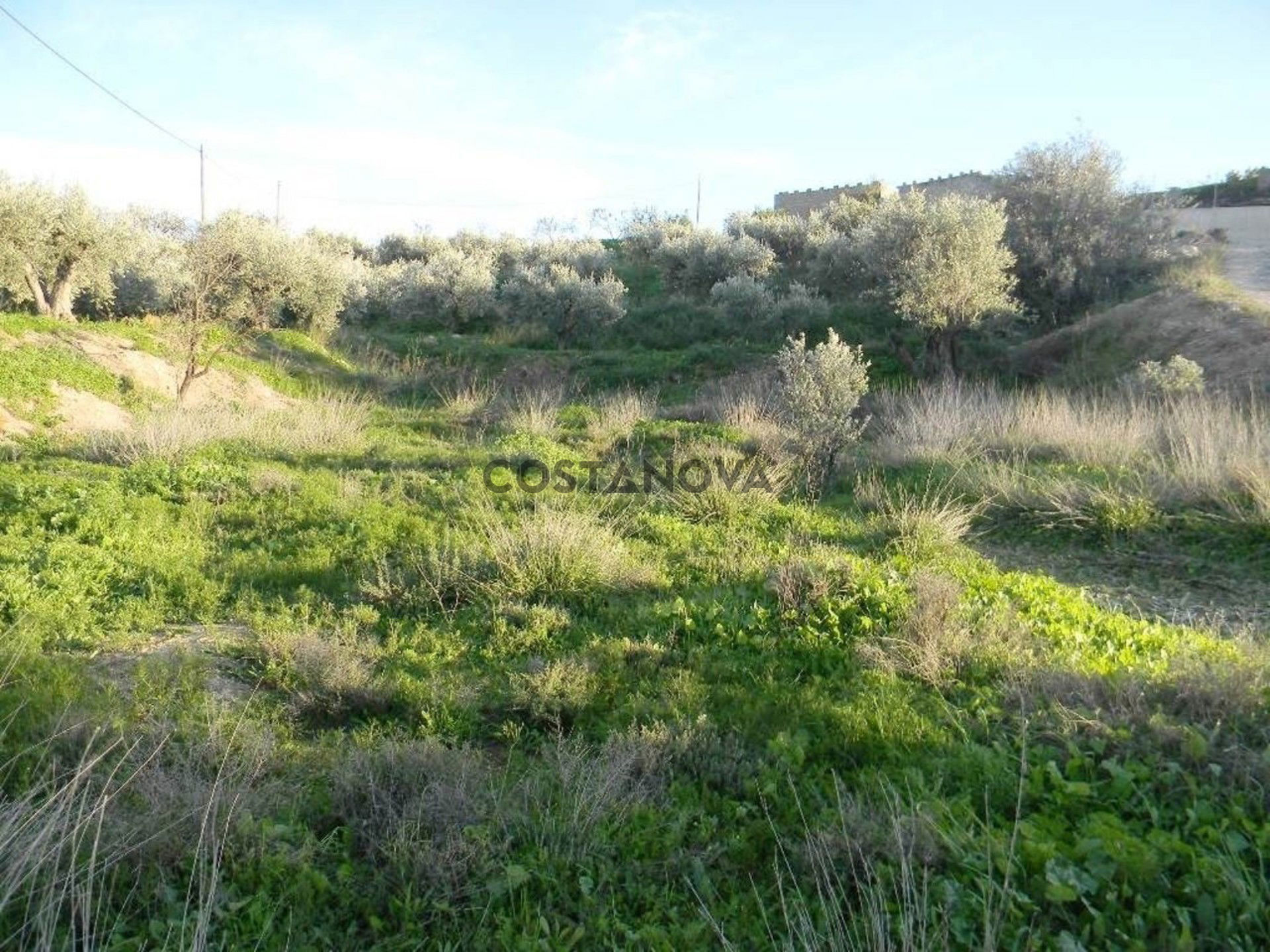 Land in Albox