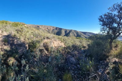 Land in Bédar
