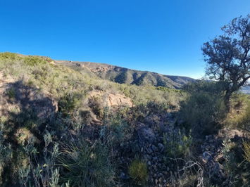 Land in Bédar