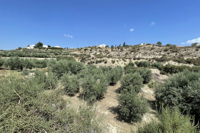 Land in Huércal-Overa