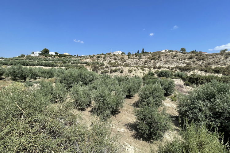 Land in Huércal-Overa