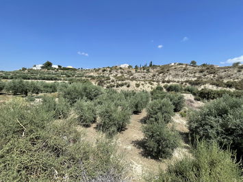 Land in Huércal-Overa
