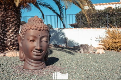 Commercial property in Lorca