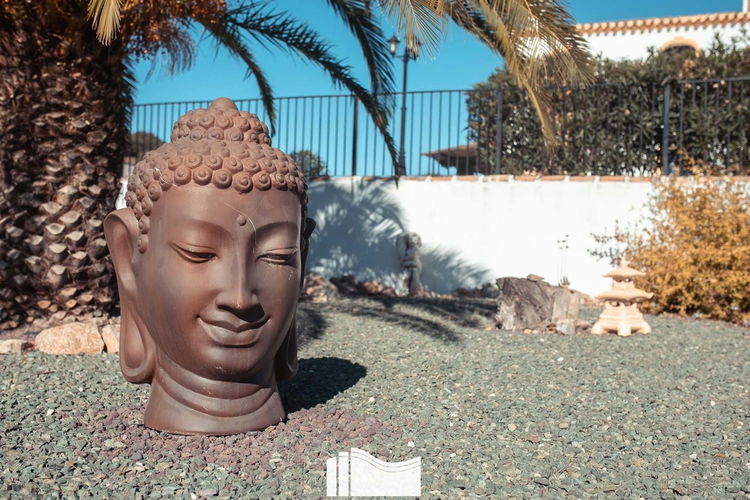 Commercial property in Lorca