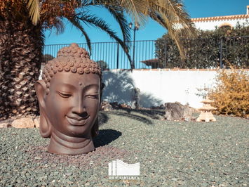 Commercial property in Lorca