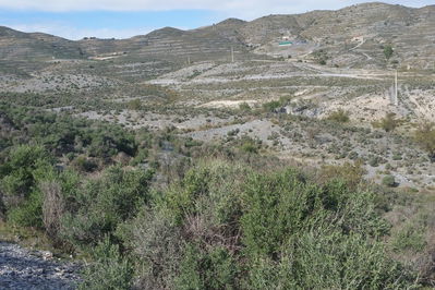 Land in Lorca
