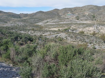 Land in Lorca
