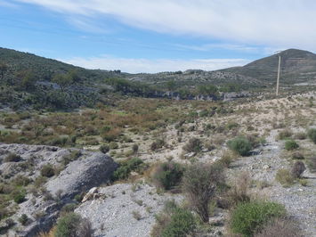 Land in Lorca