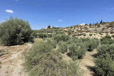 Land in Huércal-Overa