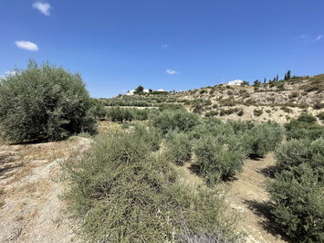 Land in Huércal-Overa