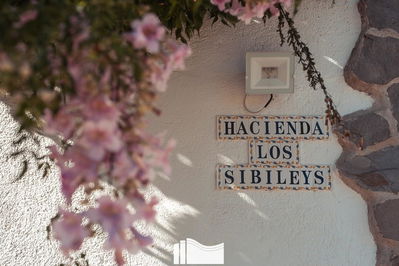 Commercial property in Lorca