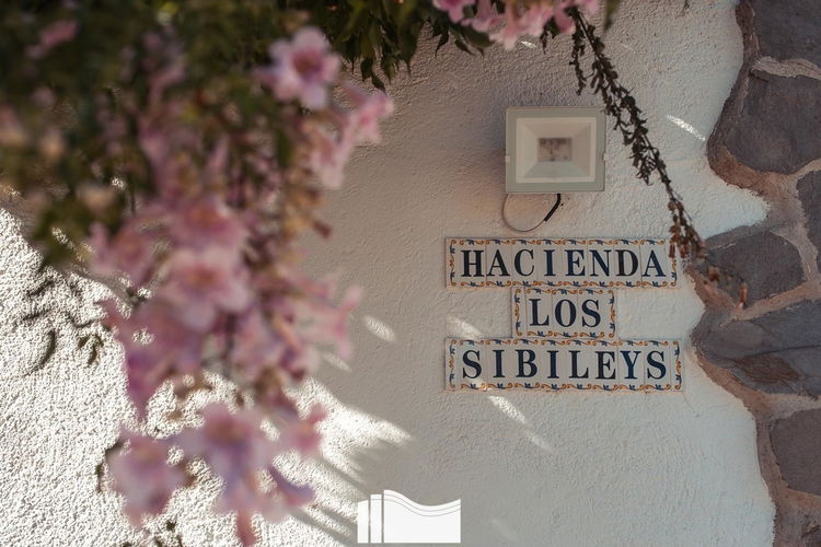 Commercial property in Lorca