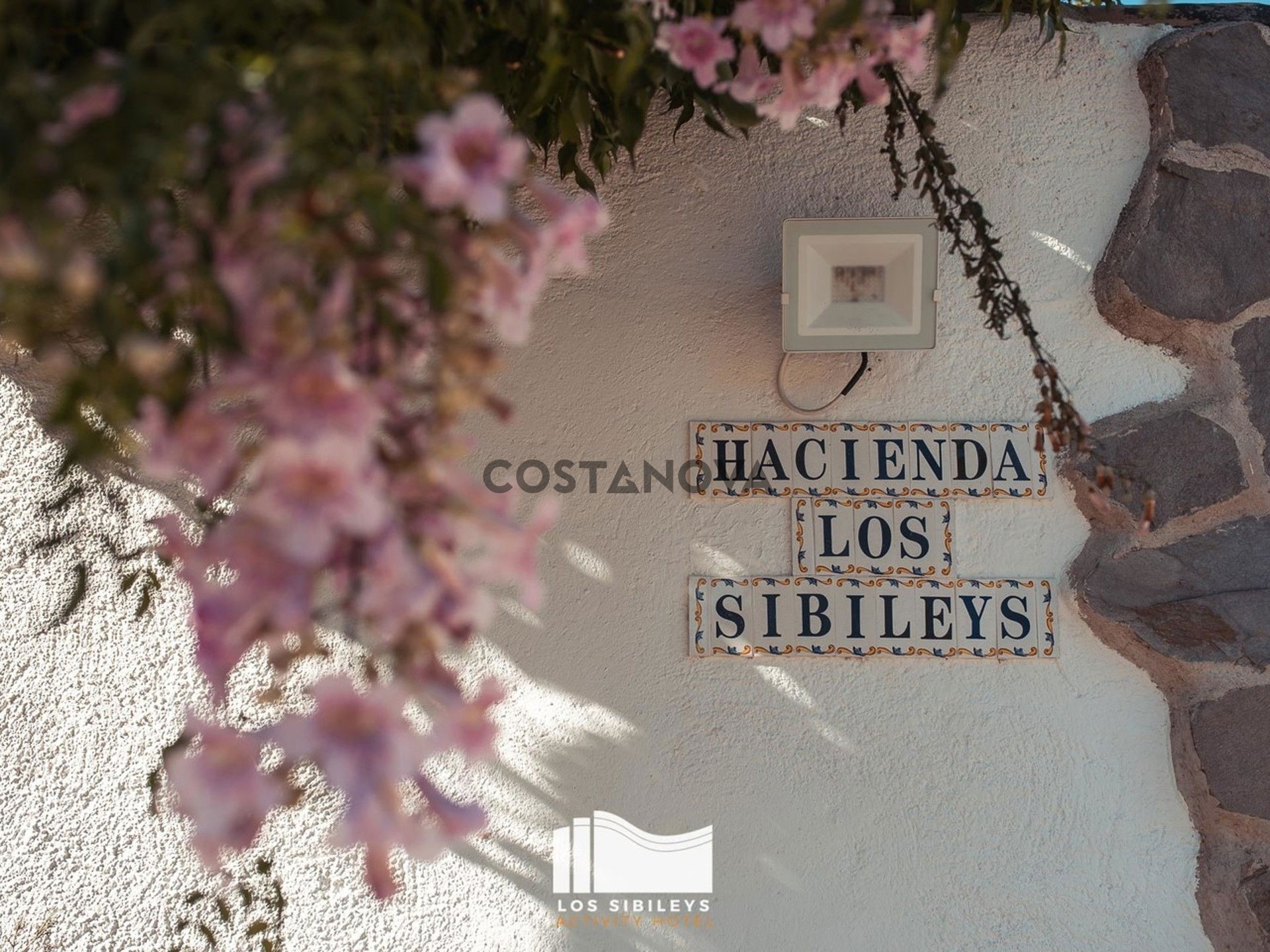 Commercial property in Lorca