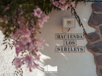 Commercial property in Lorca