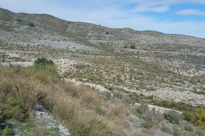 Land in Lorca
