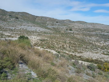 Land in Lorca