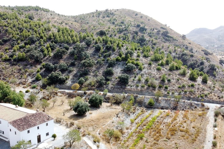 Country house in Taberno