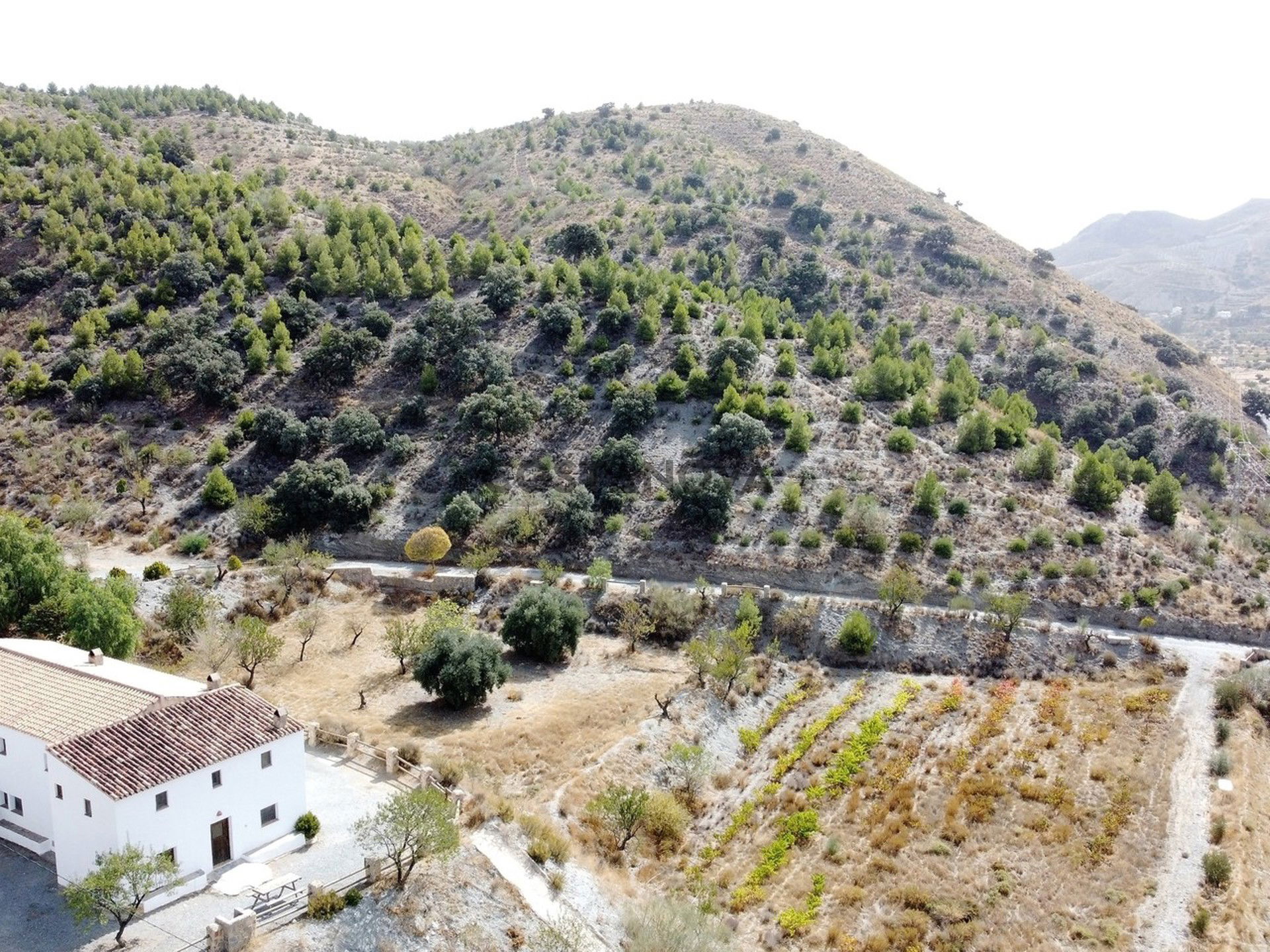 Country house in Taberno