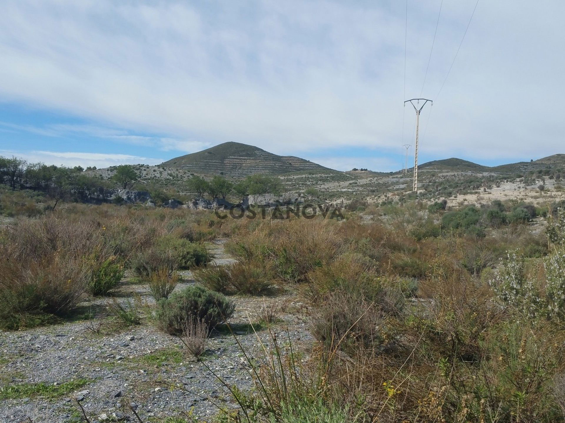 Land in Lorca