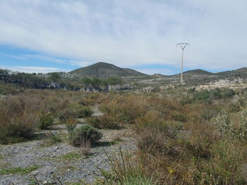 Land in Lorca
