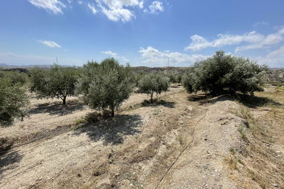 Land in Huércal-Overa
