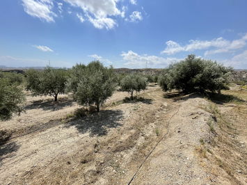 Land in Huércal-Overa